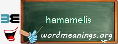 WordMeaning blackboard for hamamelis